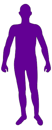 Body Figure