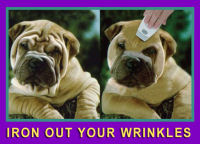 Iron Out Your Wrinkles
