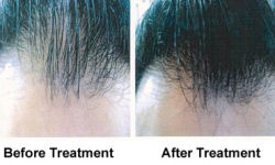 Hair Demo. Click for larger image
